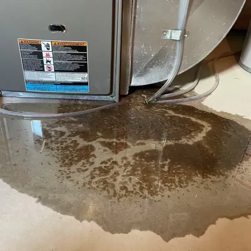 Appliance Leak Cleanup in Country Homes, WA